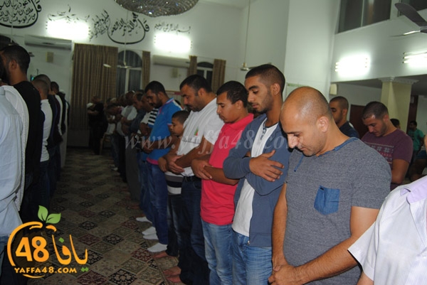 tarawee7 rebate (14).JPG